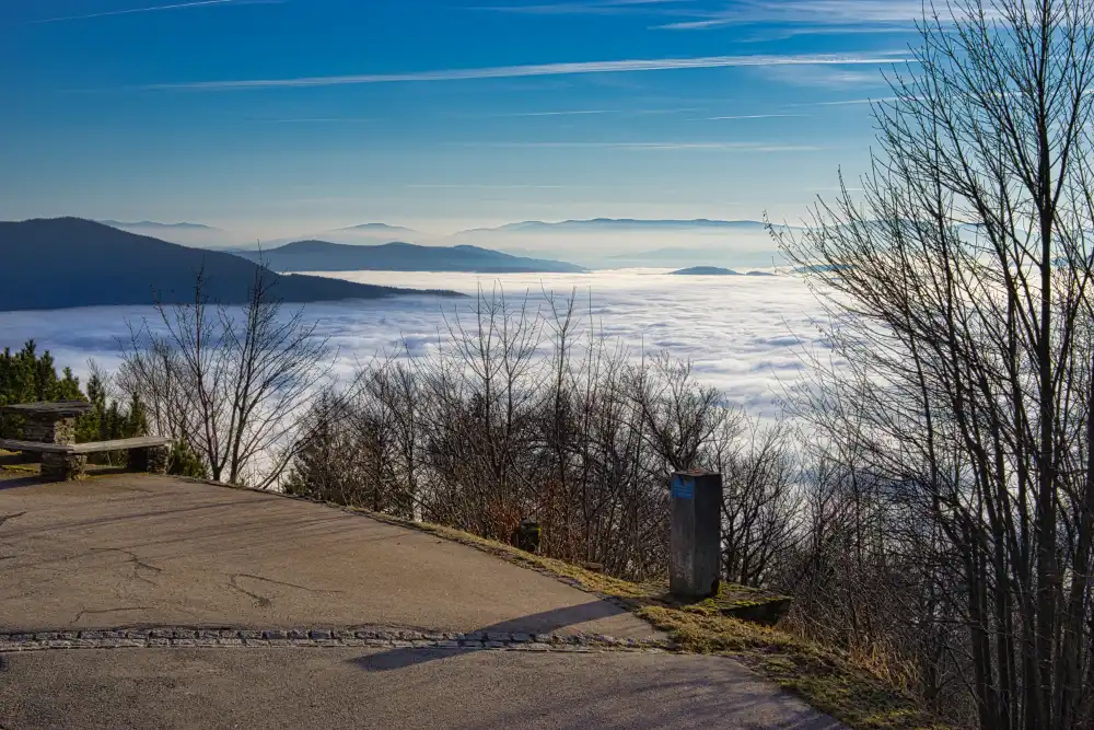 Wanderung am Hohen Bogen